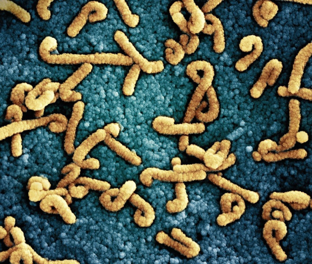 7. The Wreck Is Being Eaten Alive by Bacteria (Image Credits: Unsplash)
