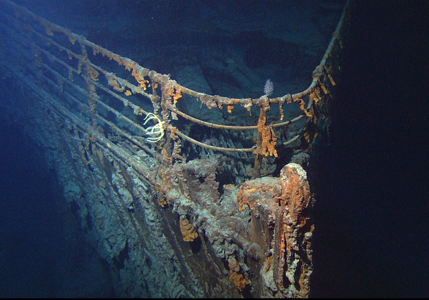 5. Violet Jessop: The Woman Who Survived Three Shipwrecks on Three Sister Ships (By Courtesy of NOAA/Institute for Exploration/University of Rhode Island (NOAA/IFE/URI)., Public domain)