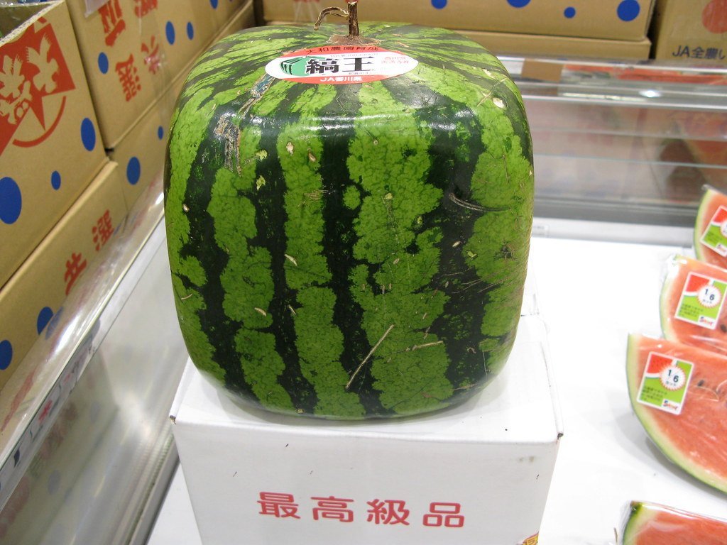 4. Square Watermelons: Fruit Engineering at Its Finest (rumpleteaser, Flickr, CC BY 2.0)