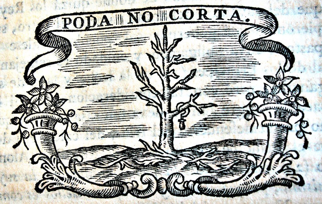 5. The Codex Seraphinianus: An Encyclopedia of a World That Does Not Exist (Image Credits: Flickr)