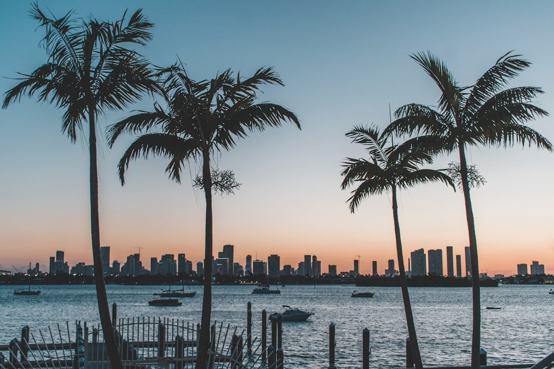 Miami, USA (Image Credits: Unsplash)