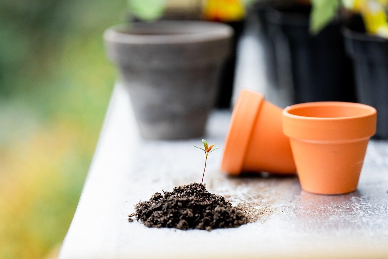 8. Myth: Add Sand to Clay Soil for Better Drainage (Image Credits: Pixabay)
