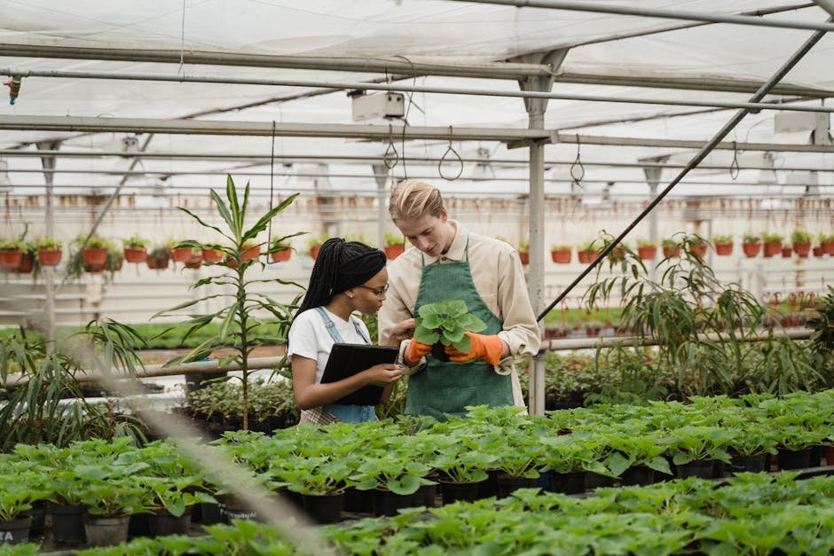 Conclusion: Garden with Science for Thriving Results (Image Credits: Pexels)