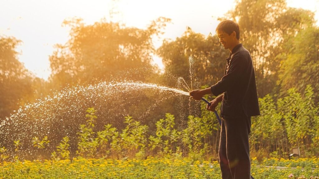 The 9 Most Enduring Gardening Myths, Busted by Expert Horticulturists.