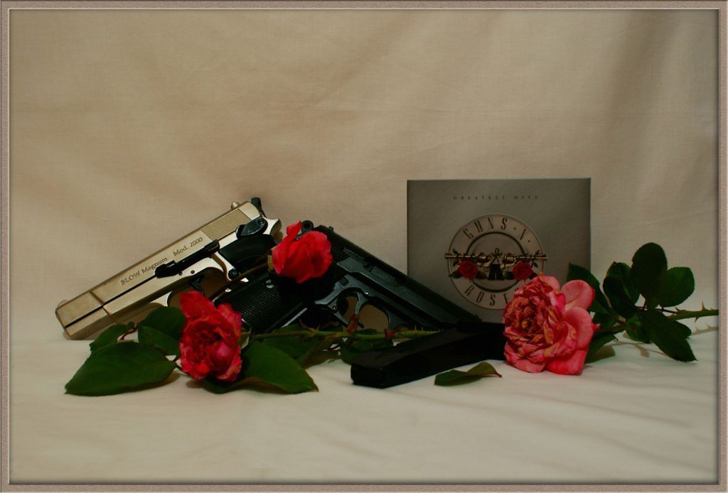 6. "Estranged" - Guns N' Roses (1993): $4–5 Million (Ali Burçin Titizel / Gti861, Flickr, CC BY 2.0)