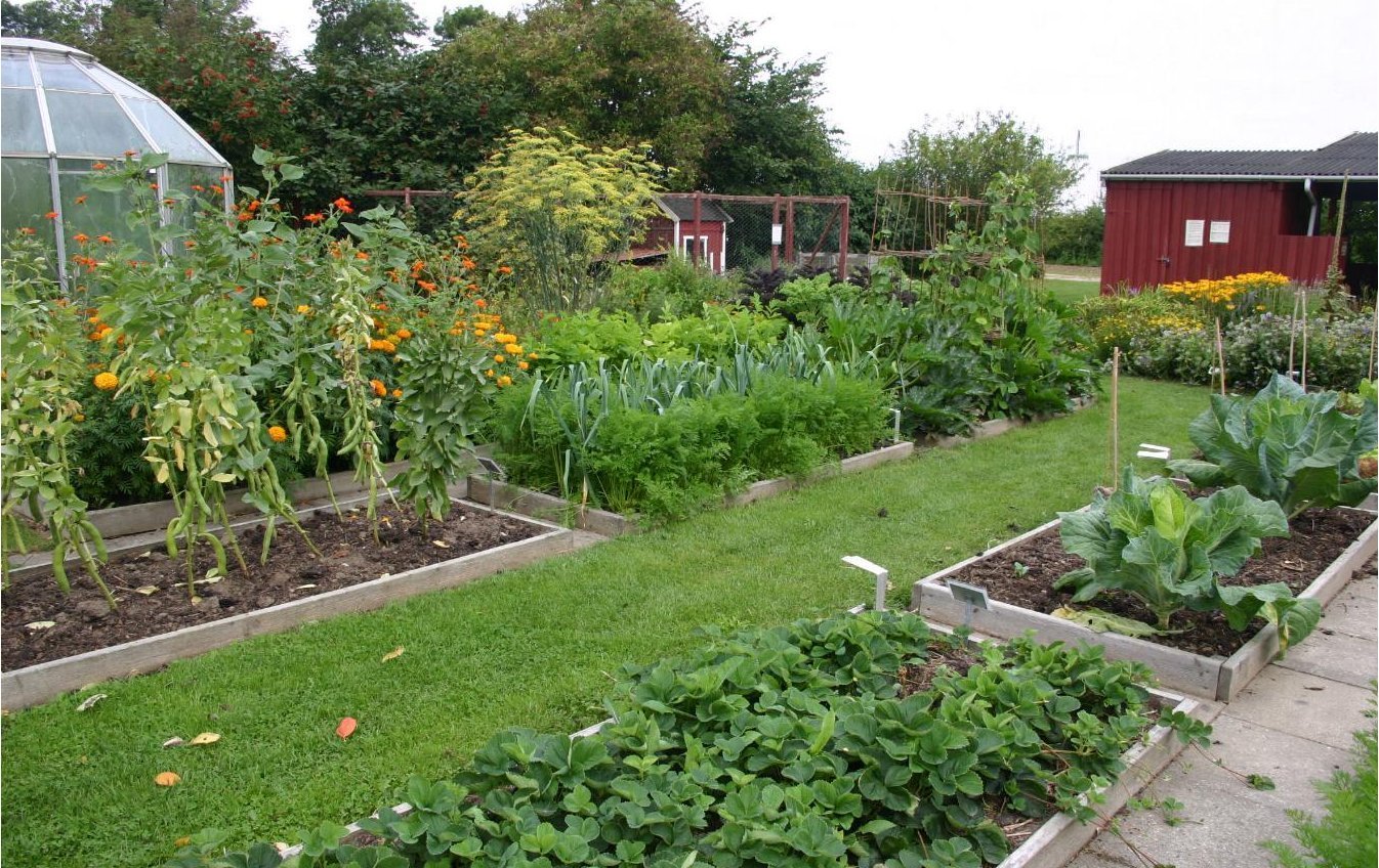 4. Rotate Your Crops Every Season (Self-photographed, CC BY-SA 3.0)