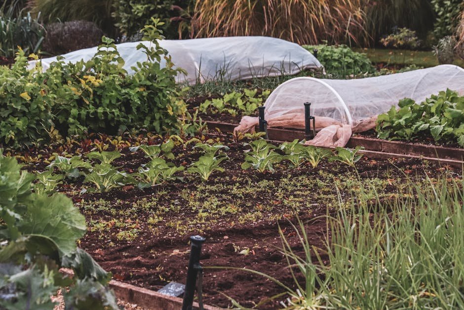 9. Use Row Covers and Physical Barriers (Image Credits: Pexels)