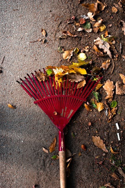 11. Remove Garden Debris and Eliminate Pest Habitats (Image Credits: Pexels)