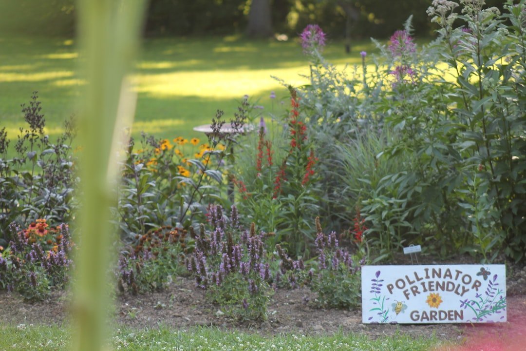 Conclusion: A Garden That Works With Nature, Not Against It (Image Credits: Unsplash)