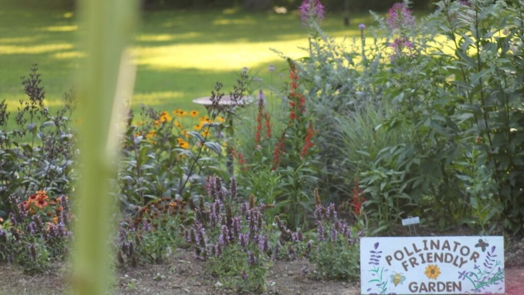14 Practical Gardening Tips That Reduce Pests Naturally