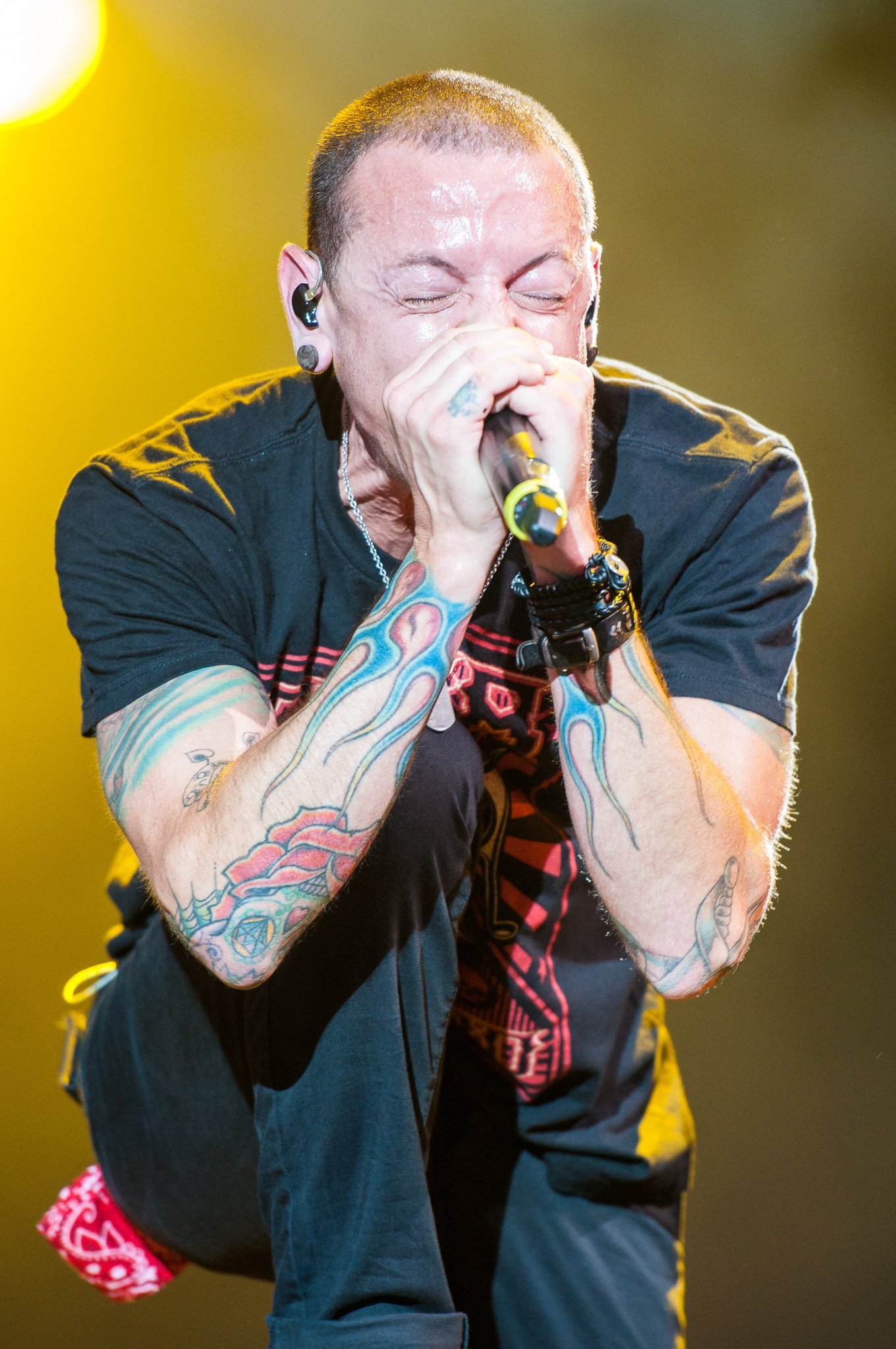 Fact 7: He Won Two Grammy Awards, Including One for "Numb/Encore" with Jay-Z (By Stefan Brending (2eight), CC BY-SA 3.0)