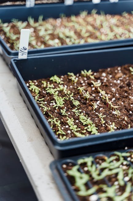 Seasonal Awareness: Letting Nature Set the Pace (Image Credits: Pexels)