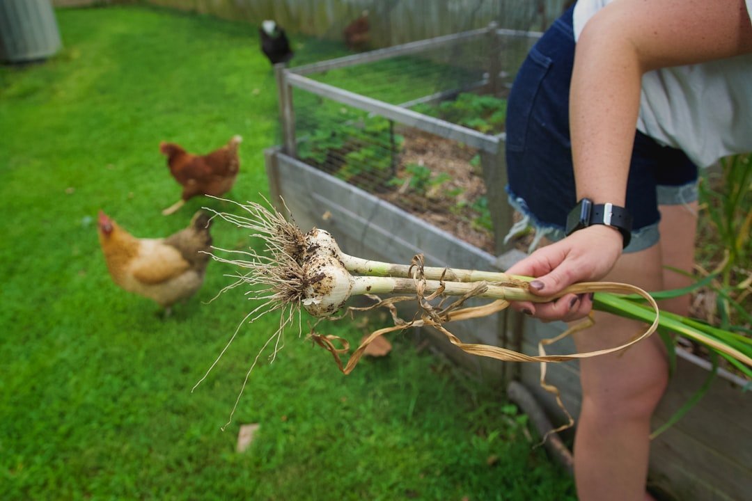 Food Sustainability: Growing Your Own Matters More Than You Think (Image Credits: Unsplash)