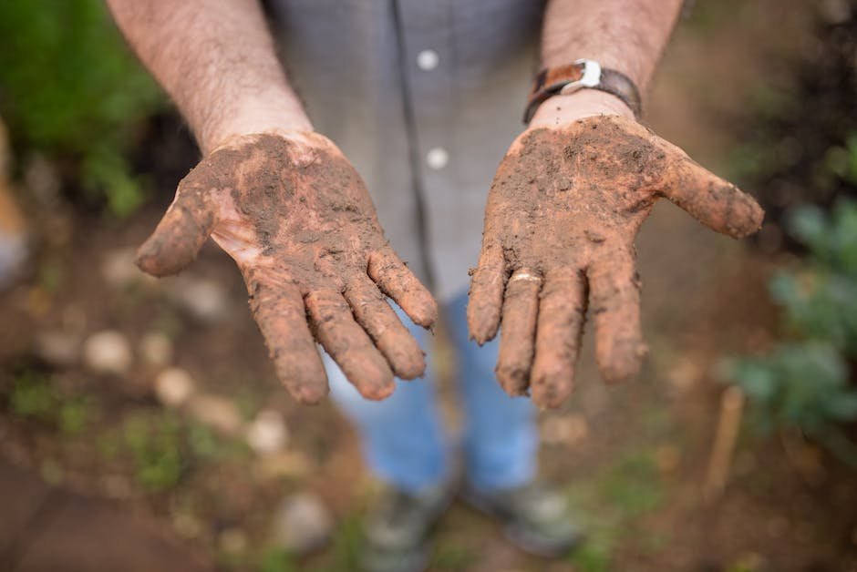 The Surprising Science Behind Soil and the Human Body (Image Credits: Pexels)