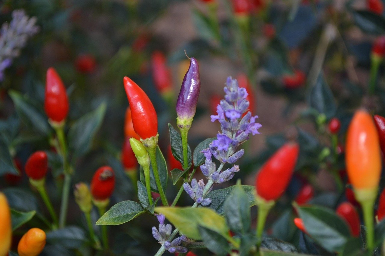 Secret #5: Master the Art of Companion Planting (Image Credits: Pixabay)