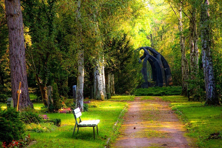 6. Henry David Thoreau: Embrace Solitary Morning Garden Walks as Meditation (Image Credits: Pexels)
