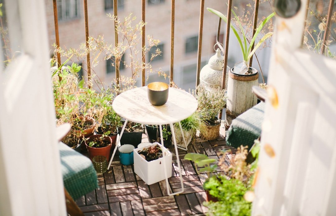 7. Walt Whitman and Louisa May Alcott: Create an Urban Garden to Ground Your Creativity (Image Credits: Unsplash)