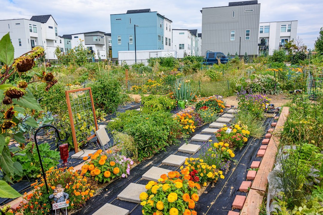 9. Jamaica Kincaid and Ross Gay: Treat Gardening as an Act of Radical Hope (Image Credits: Unsplash)