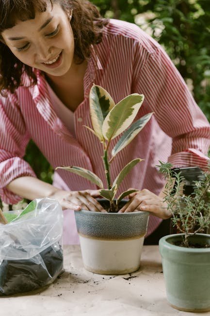 10. Oliver Sacks: Use Your Garden as a Prescription for Mental Clarity (Image Credits: Pexels)