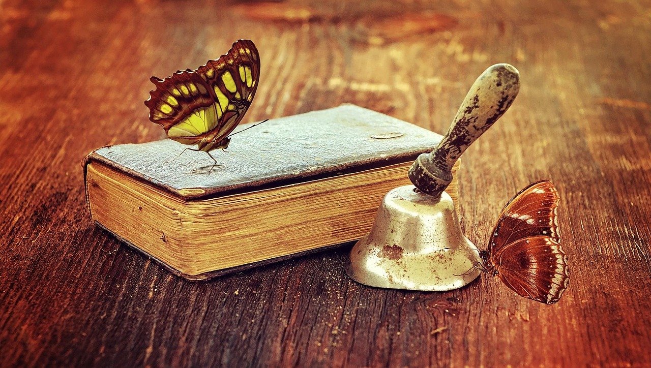 Conclusion: Lives Beyond the Page (Image Credits: Pixabay)