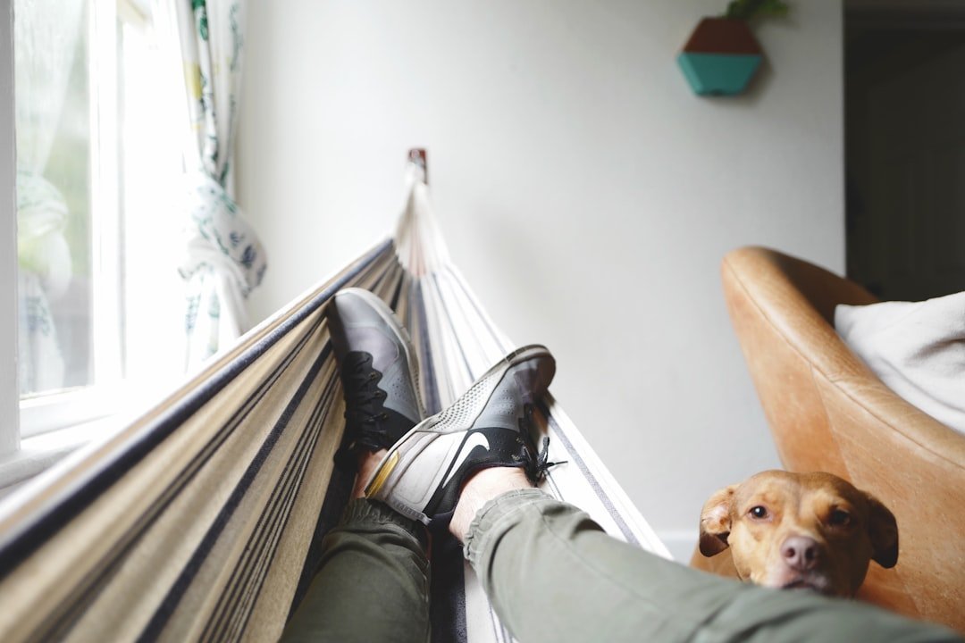 Wearing Shoes Indoors (Image Credits: Unsplash)