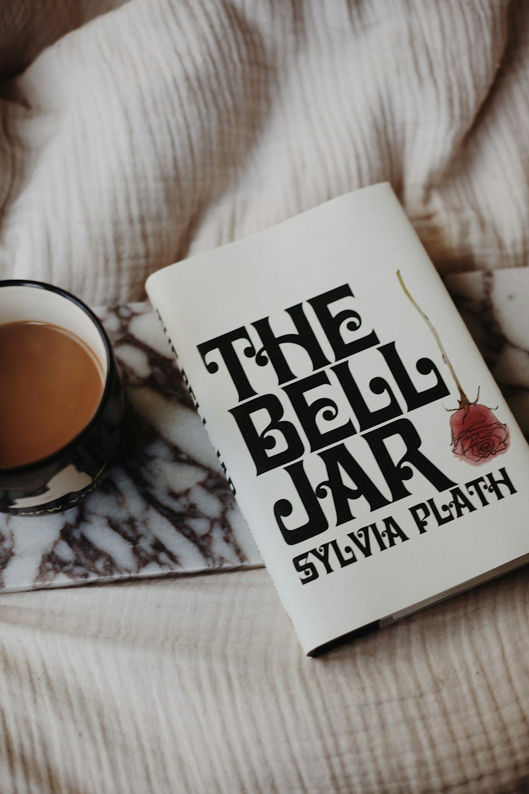 The Bell Jar by Sylvia Plath (Image Credits: Unsplash)