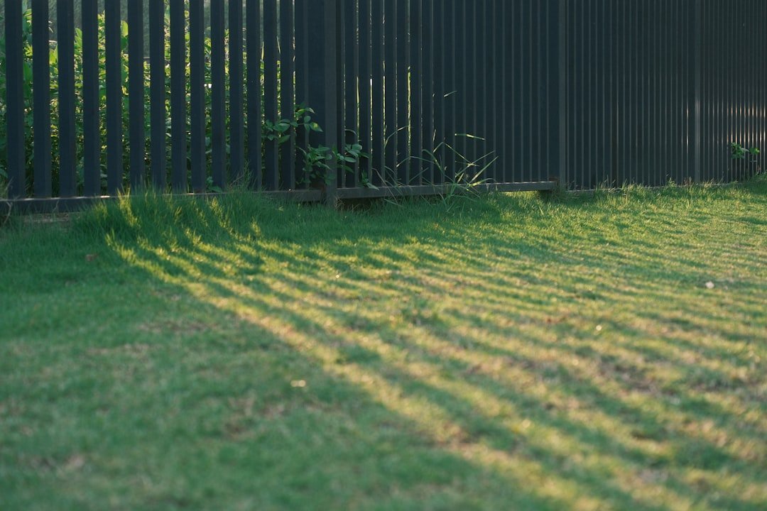 1. Assess Your Space for Sunlight and Shade (Image Credits: Unsplash)
