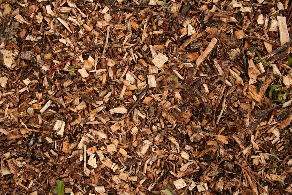 8. Mulch Early to Lock in Moisture (Owen P, Flickr, CC BY 2.0)