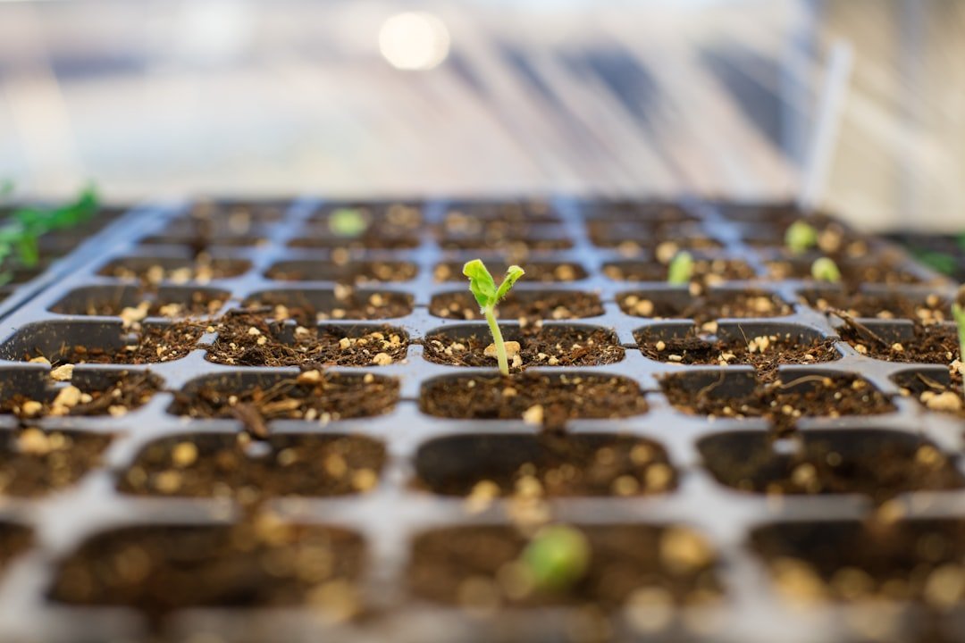 10. Time Your Planting with Local Seasons (Image Credits: Unsplash)