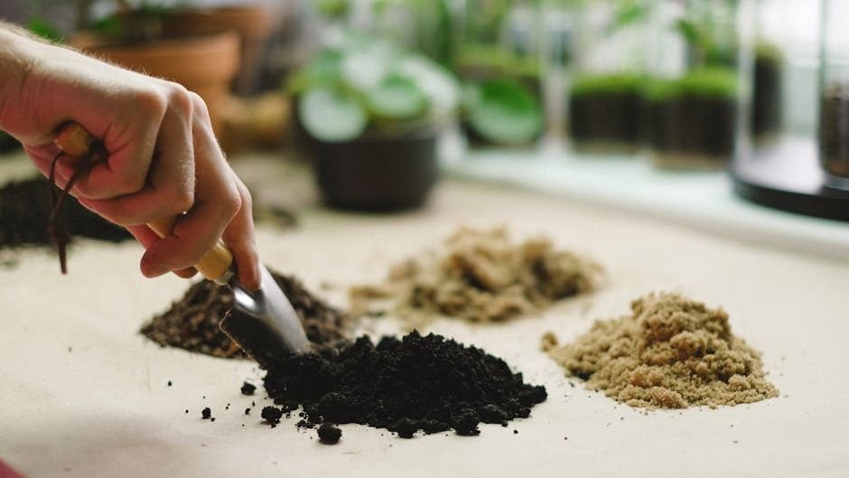 10 Must-Know Gardening Tips Before You Start Your First Garden