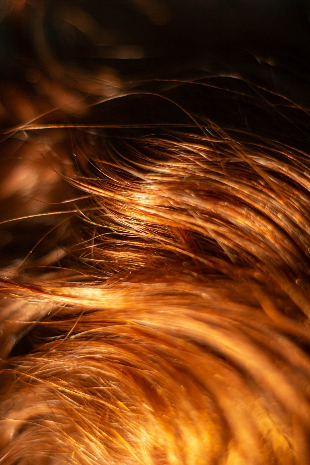 6. Embrace Natural Texture: Working With Your Hair, Not Against It (Image Credits: Unsplash)