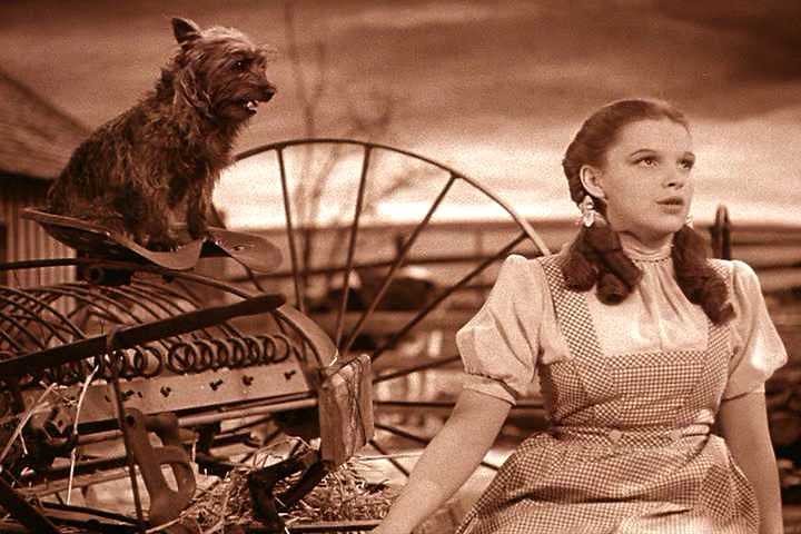 3. The Wizard of Oz by L. Frank Baum - Good Witches Cannot Exist (Tom McKinnon, Flickr, CC BY-SA 2.0)