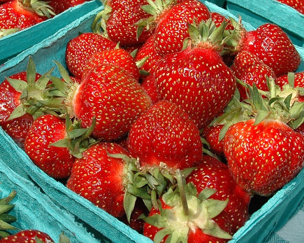 11. Strawberry Days – Pleasant Grove, Utah (ewan traveler, Flickr, CC BY 2.0)