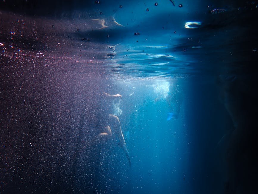 12. Looe Key Underwater Music Festival – Florida Keys, Florida (Image Credits: Pexels)