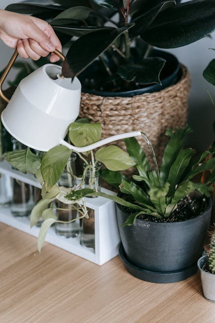 2. Master the Art of Deep Watering (Image Credits: Pexels)