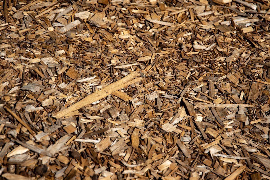 5. Apply Mulch to Lock in Growth Conditions (Image Credits: Pexels)
