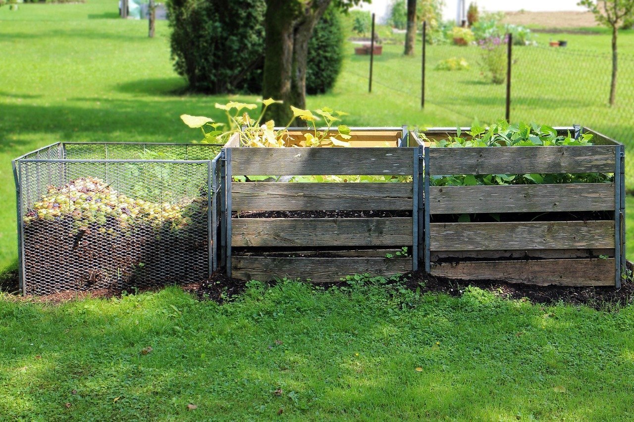 10. Brew Compost Tea for a Liquid Growth Boost (Image Credits: Pixabay)