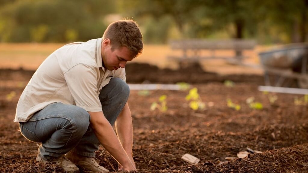 12 Gardening Tricks That Make Your Plants Grow Faster and Fuller