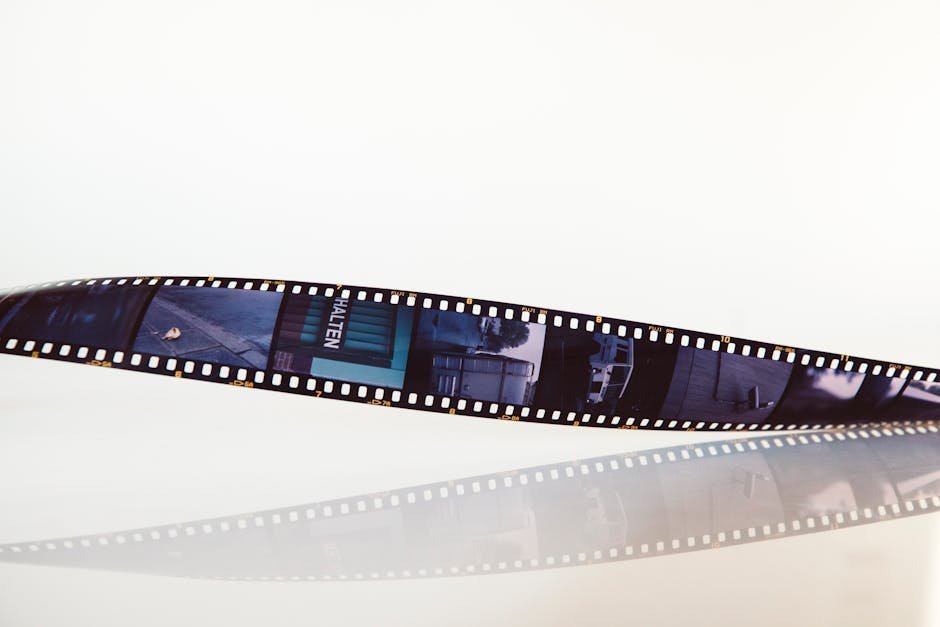 What This Really Tells Us About Stories (Image Credits: Pexels)