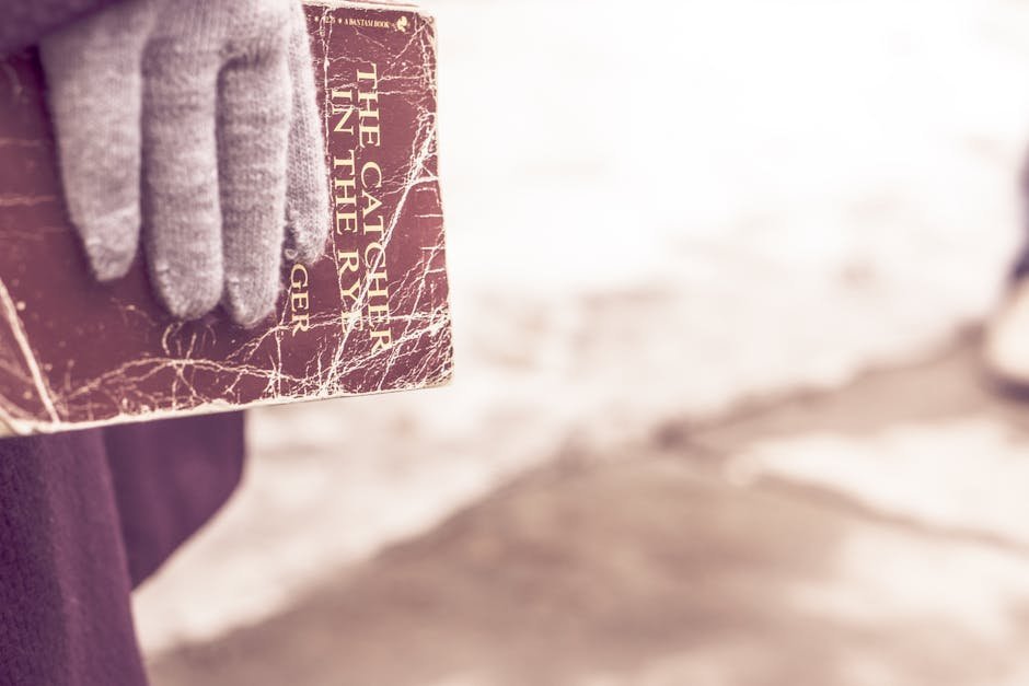 Conclusion: When a Cover Becomes a Cultural Object (Image Credits: Pexels)
