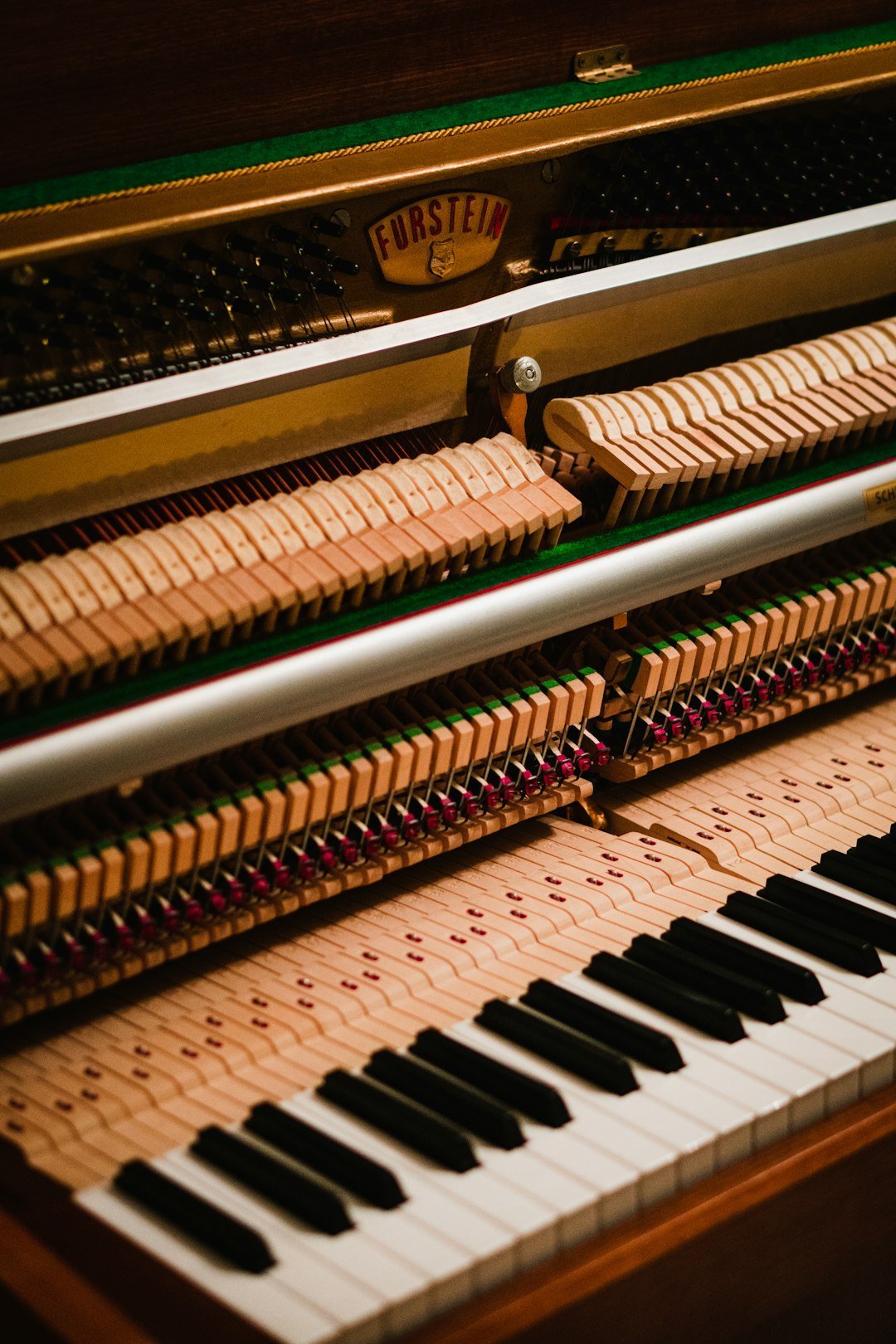 Chopin's Nocturne in E-flat Major, Op. 9 No. 2: Romantic Dreams (Image Credits: Unsplash)