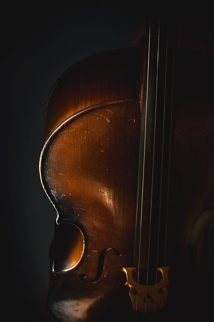 The Timeless Journey of Classical Music (dejankrsmanovic, Flickr, CC BY 2.0)