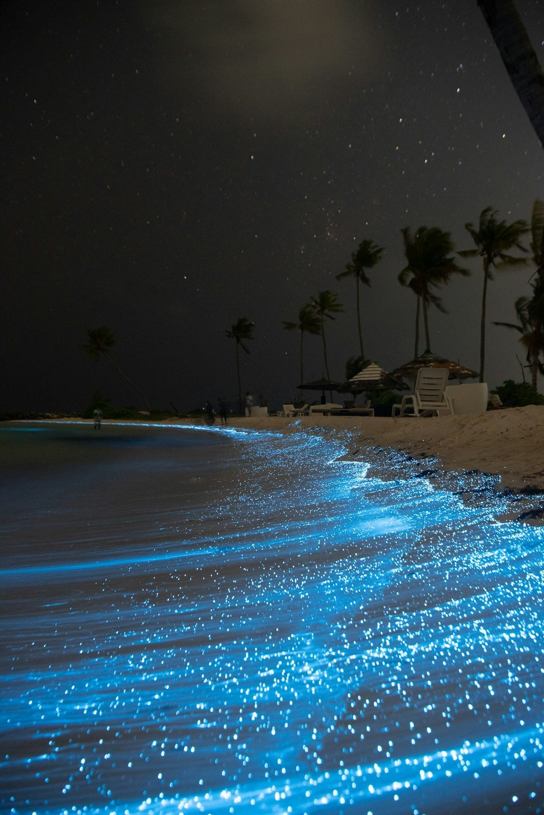 Vaadhoo Island Bioluminescent Beach, the Maldives (Image Credits: Unsplash)