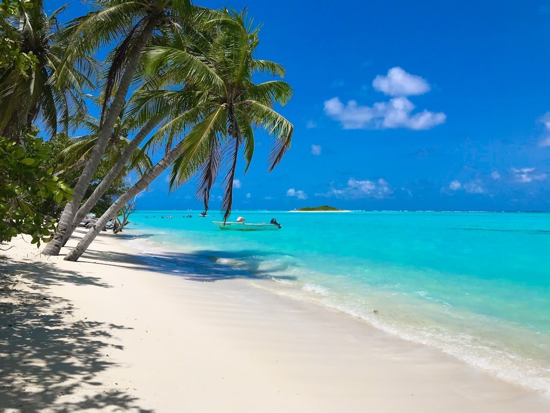 4. Matira Beach, Bora Bora, French Polynesia (Image Credits: Unsplash)