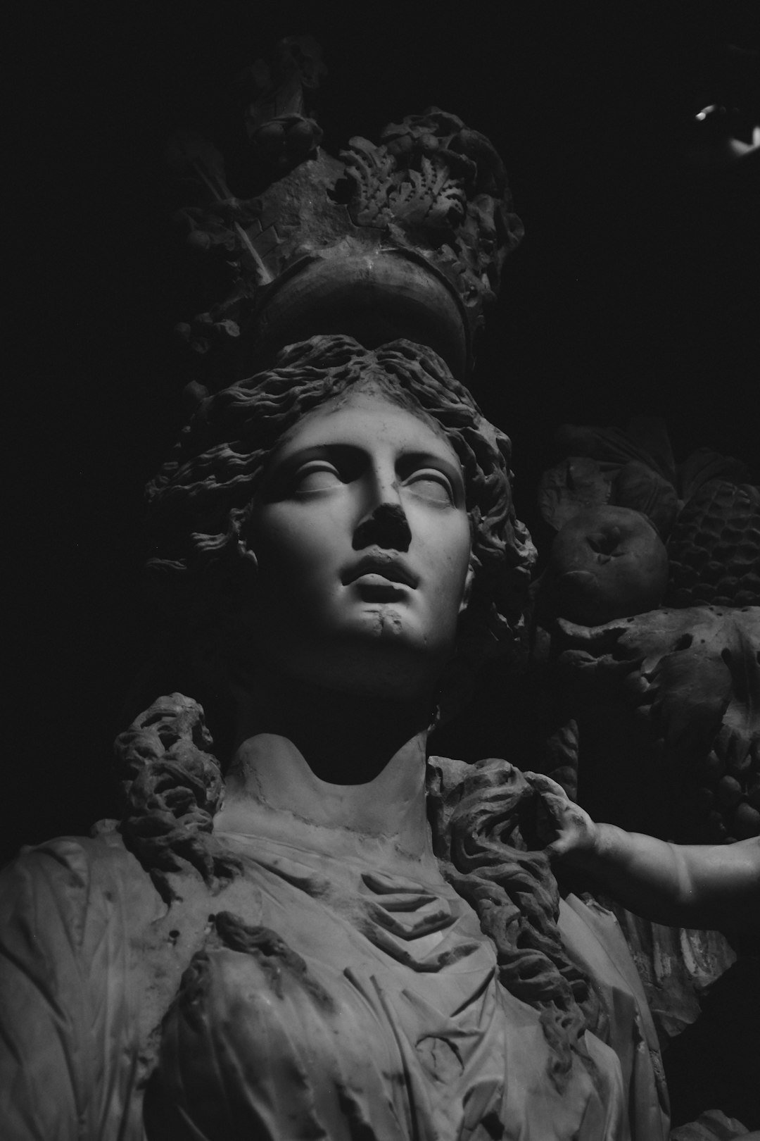 7. Black Athena by Martin Bernal (Image Credits: Unsplash)