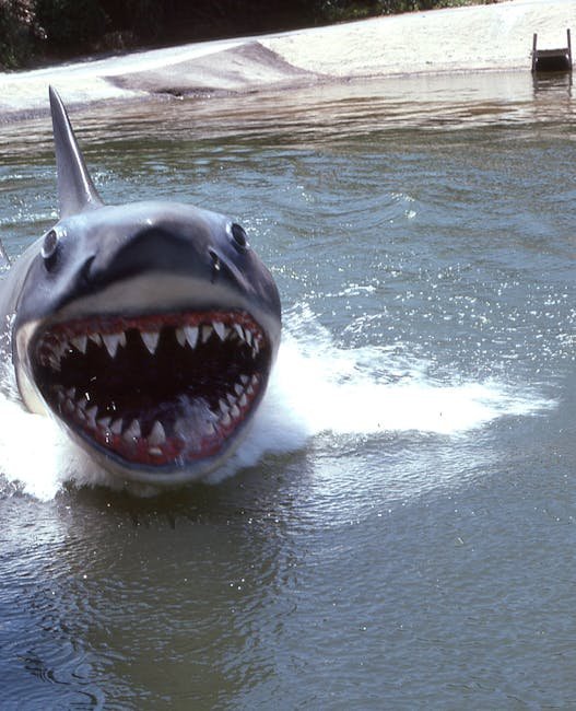 Mechanical Shark from Jaws (1975) (Image Credits: Pexels)