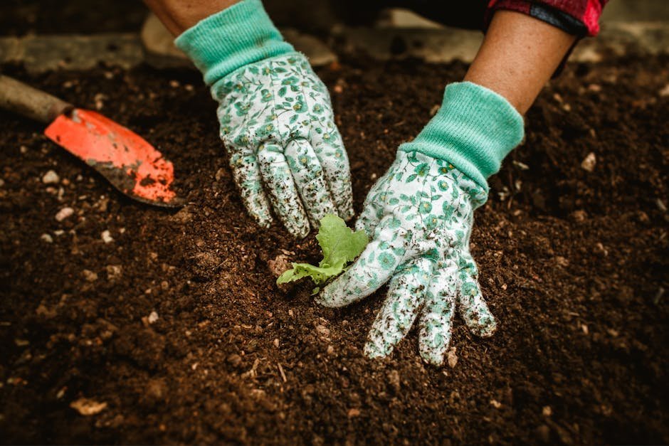 The Sensory Experience That Grounds the Mind (Image Credits: Pexels)
