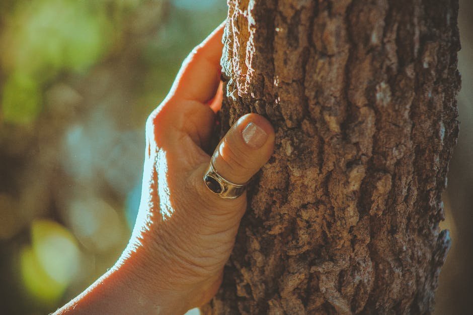 Reconnecting With the Environment Around You (Image Credits: Pexels)