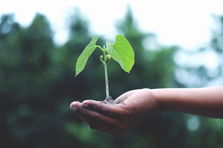 5. "Treat the Earth Well: It Was Not Given to You by Your Parents, It Was Loaned to You by Your Children." - Native American Proverb (Image Credits: Pexels)