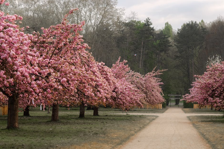 River Farm (Image Credits: Pexels)